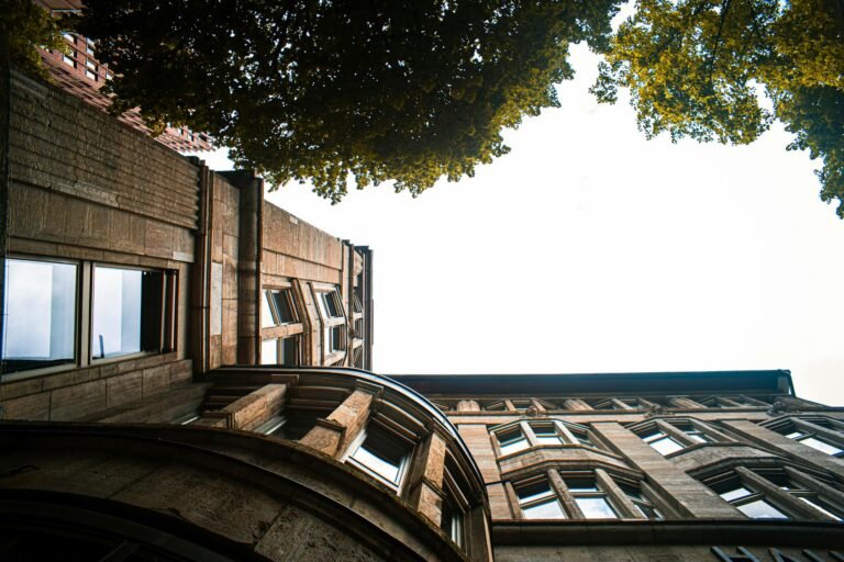 Perspectiva de baixo para cima de um prédio de arquitetura clássica em pedra, com copas de árvores emoldurando o céu branco no topo.